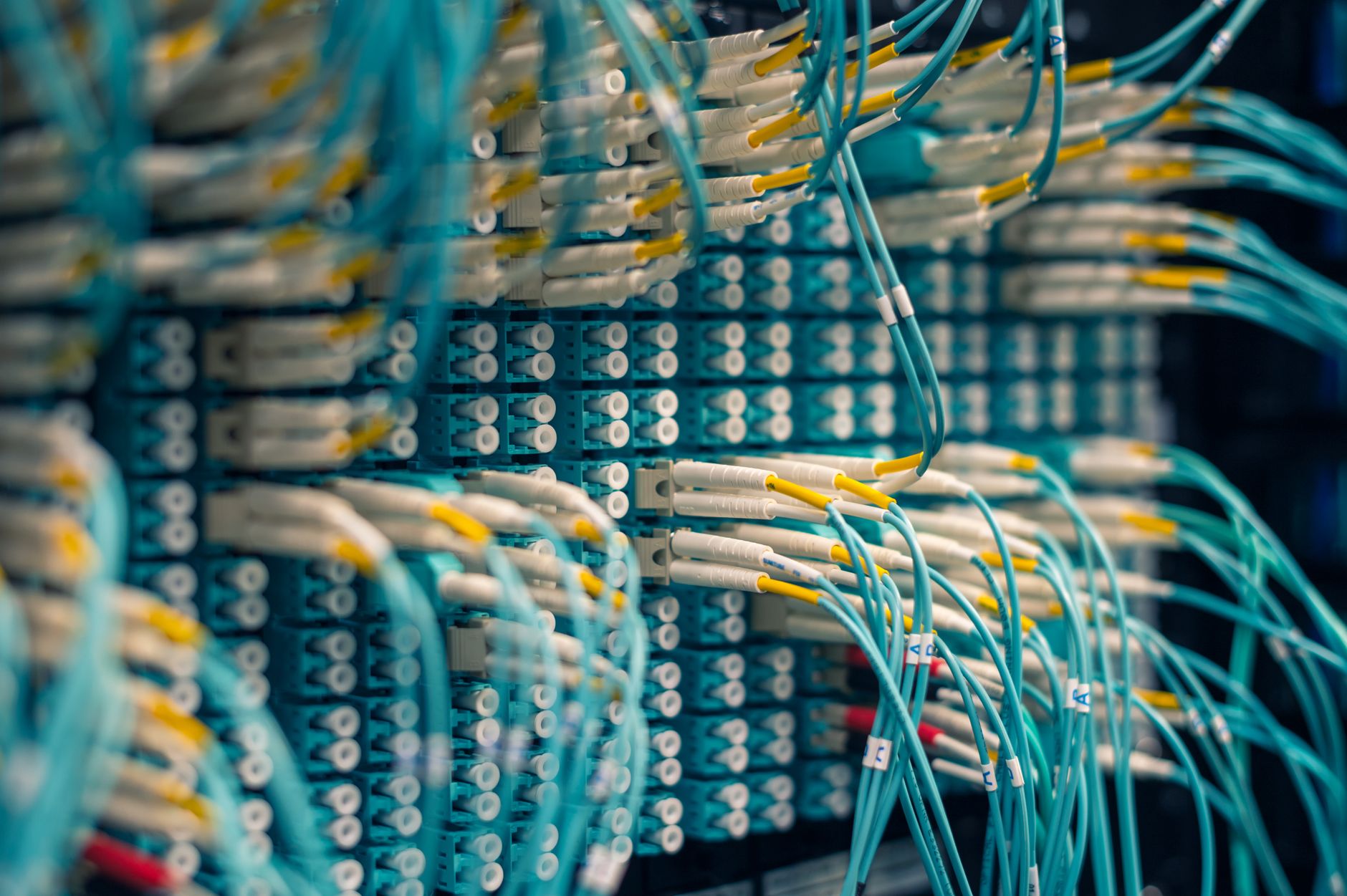 Dense network of fibre optic cables and connectors in a data centre, representing internal linking and site structure